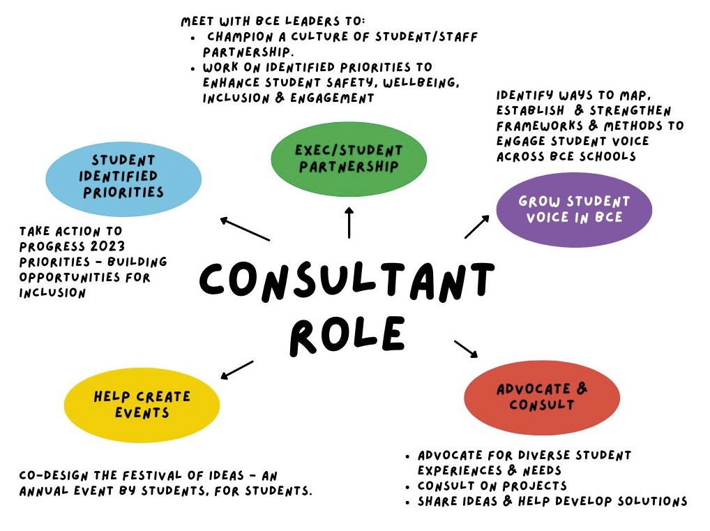 Consultant Role
